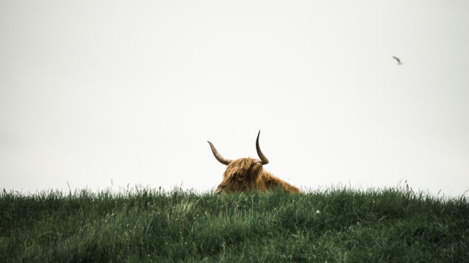 Bitcoin Bull Run To Resume Soon? Crypto Market Liquidity At Bitcoin