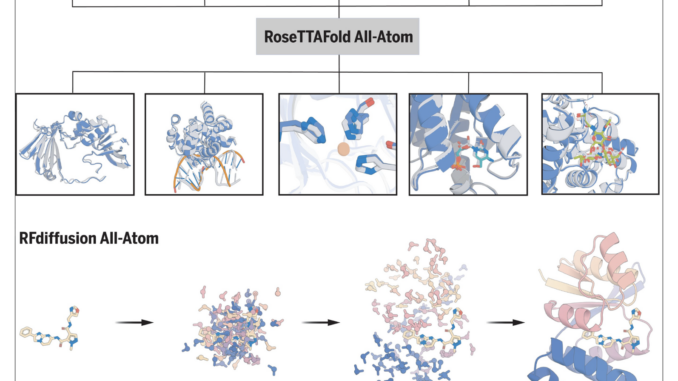 DL4Proteins Notebook Series Bridging Machine Learning and Protein Engineering: A Practical Guide to Deep Learning Tools for Protein Design