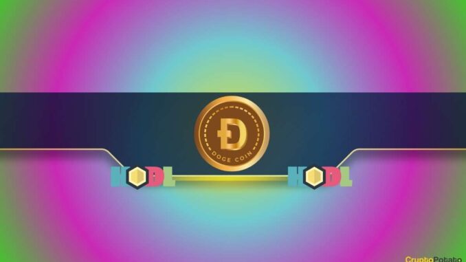 Dogecoin Price Dumps by 25% in 2 Days, Is DOGE Dogecoin Price Dumps by 25% in 2 Days, Is DOGE Heading Toward $0.22?