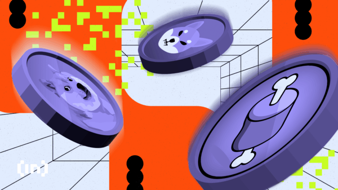 Behind the Scenes of Meme Coin Mania Behind the Scenes of Meme Coin Mania: Why Only 10% of Projects Dominate Fundraising