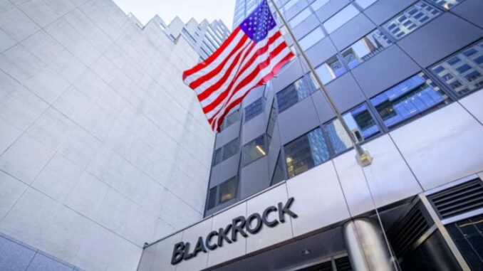 BlackRock targets to become world's largest crypto asset manager by BlackRock targets to become world's largest crypto asset manager by 2030