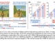 High-Entropy Token Selection in Reinforcement Learning with Verifiable Rewards (RLVR) Improves Accuracy and Reduces Training Cost for LLMs