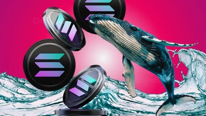 Coinpedia - Fintech & Cryptocurreny News Media