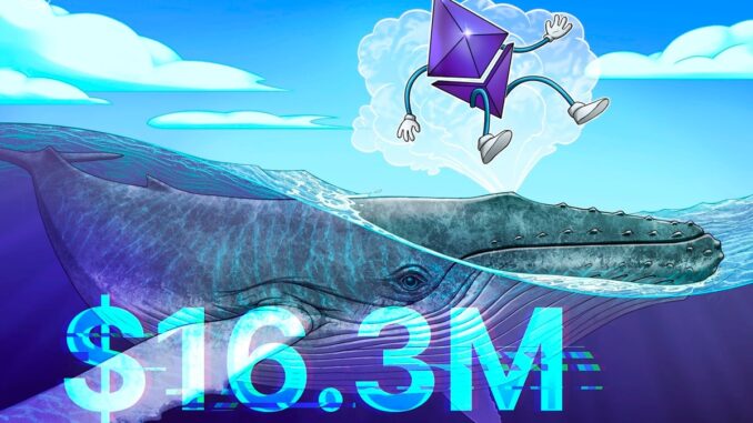 Ethereum Whale Opens $16.3M Leveraged Long Bet as ETH Hints at Local Bottom
