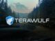 Google secures option for 8% stake in Bitcoin miner TeraWulf via $1.8B backstop deal