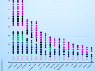 Digital Privacy in Europe