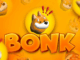 Safety Shot launches a BONK memecoin treasury-focused subsidiary