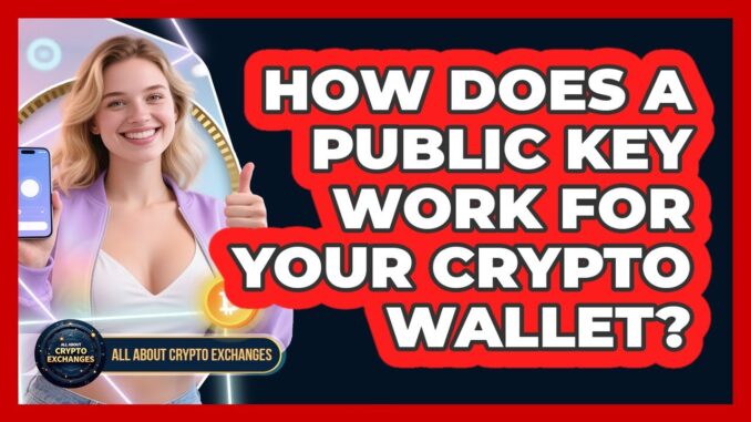 How Does A Public Key Work For Your Crypto Wallet? - All About Crypto Exchanges