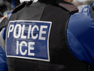 'Nothing Illegal': Creator of ICE Tracking App Plans Legal Action After Apple Removal