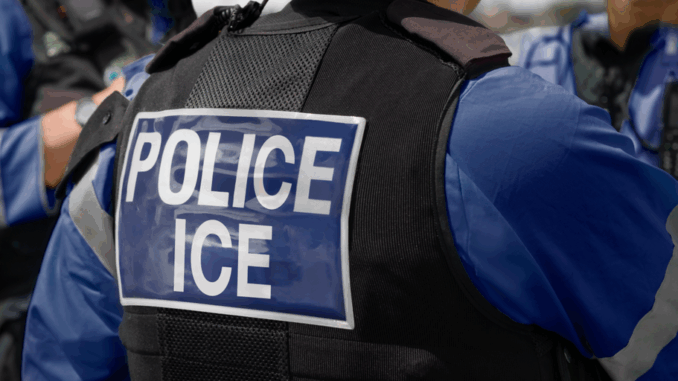 'Nothing Illegal': Creator of ICE Tracking App Plans Legal Action After Apple Removal