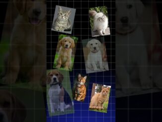 ai kya hai aur work kaise karata hai #informativevideo