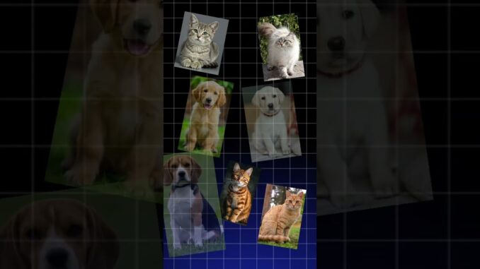 ai kya hai aur work kaise karata hai #informativevideo